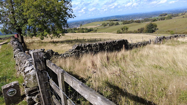 TeggsNose077