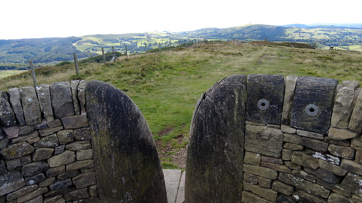 TeggsNose003