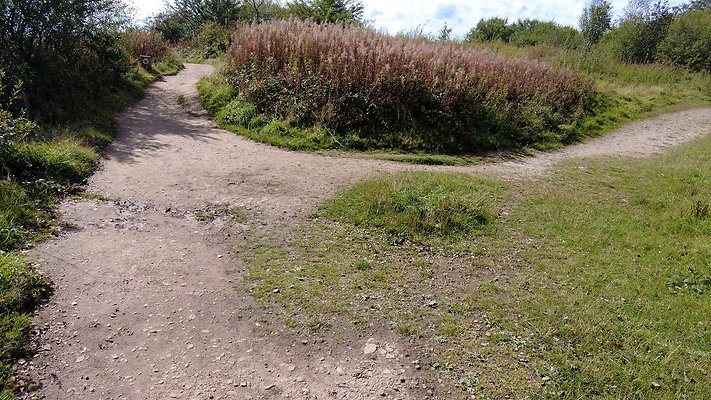 TeggsNose034