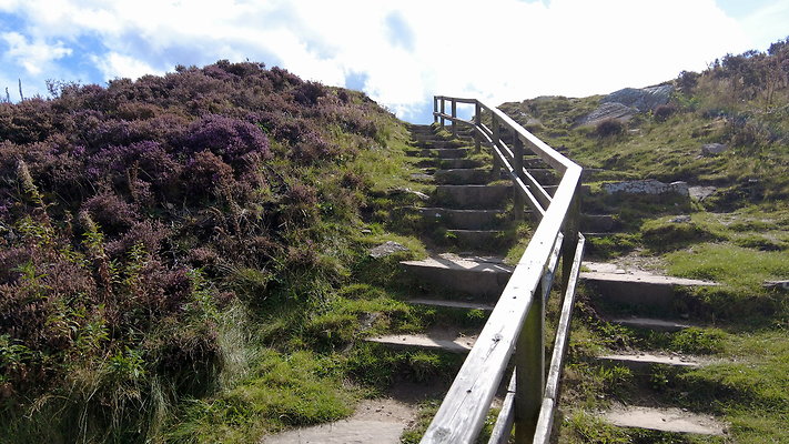 TeggsNose058
