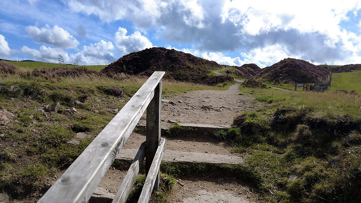 TeggsNose057