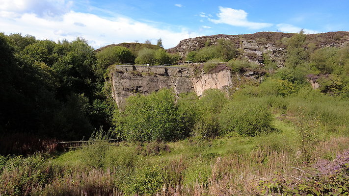 TeggsNose035