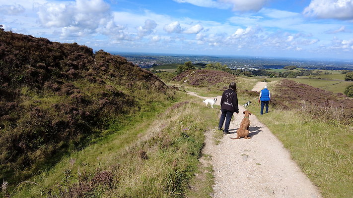 TeggsNose053