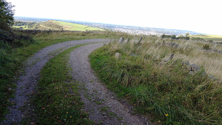TeggsNose062