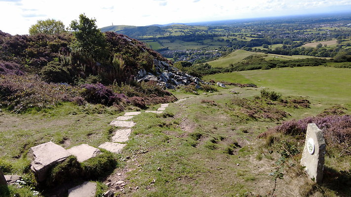 TeggsNose020