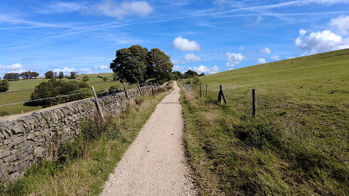 TeggsNose082