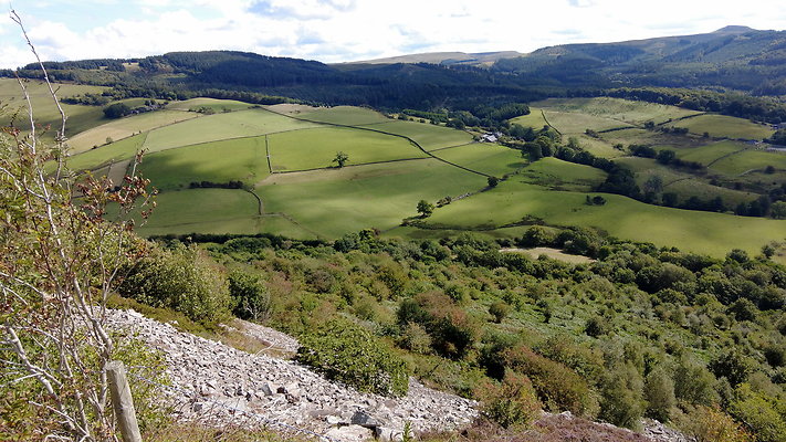 TeggsNose026