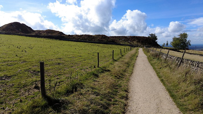 TeggsNose081