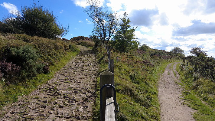 TeggsNose019