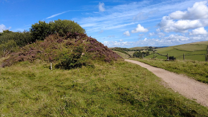 TeggsNose045