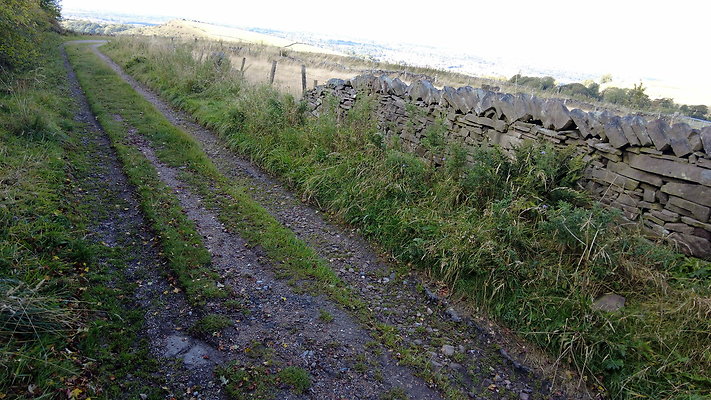 TeggsNose063