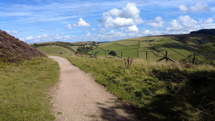 TeggsNose044