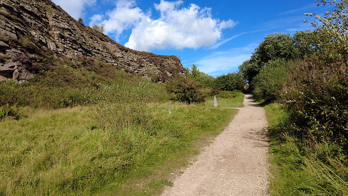 TeggsNose041