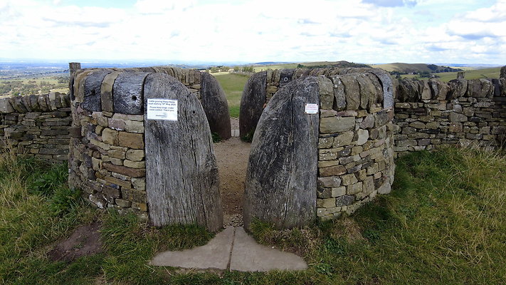 TeggsNose005