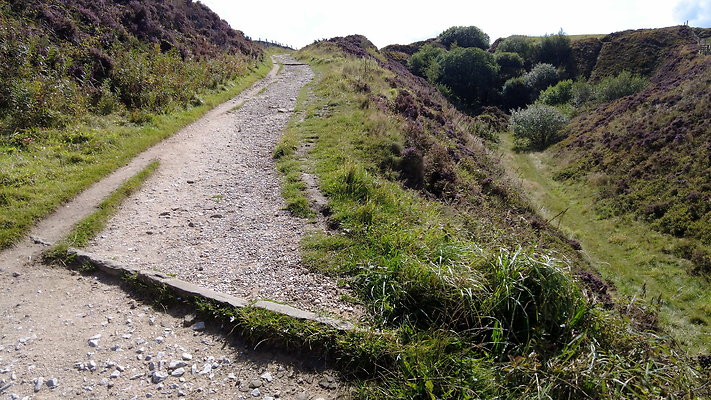 TeggsNose054