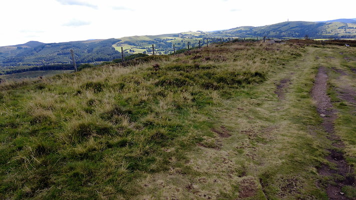 TeggsNose006