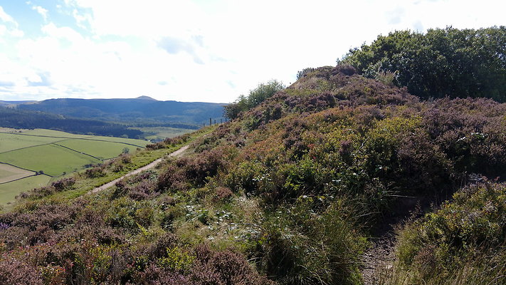 TeggsNose048