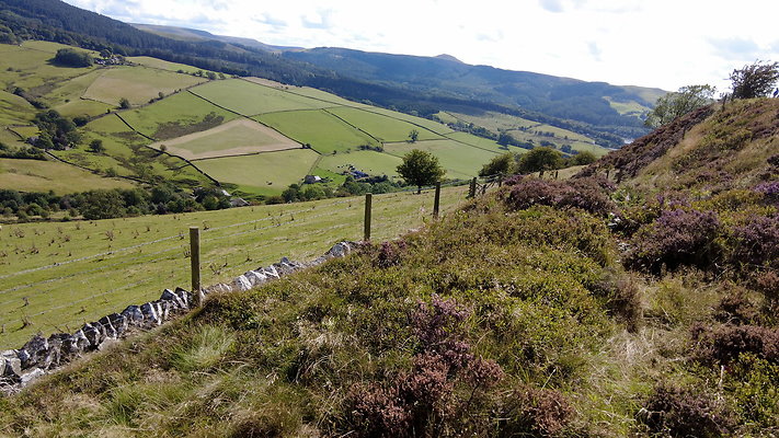 TeggsNose049