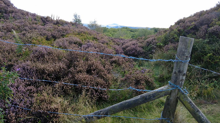 TeggsNose011