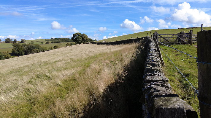 TeggsNose078