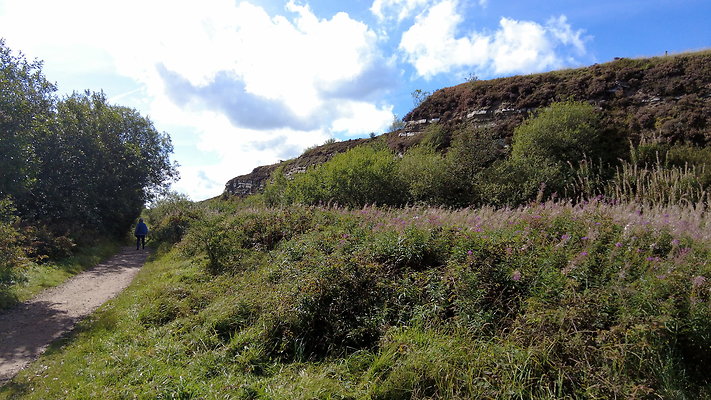 TeggsNose046