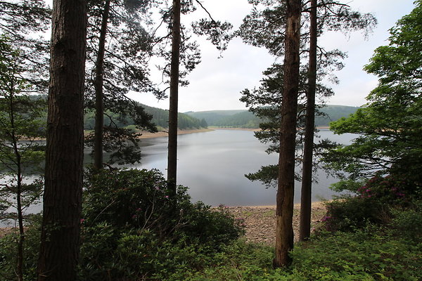 Howden Reservoir025