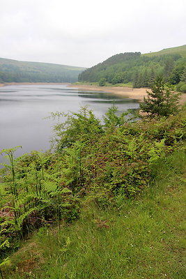 UpperDerwent050