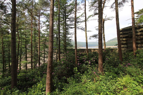 Howden Reservoir003