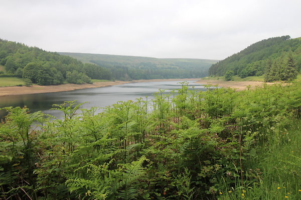 UpperDerwent052