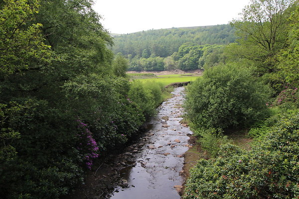 UpperDerwent089