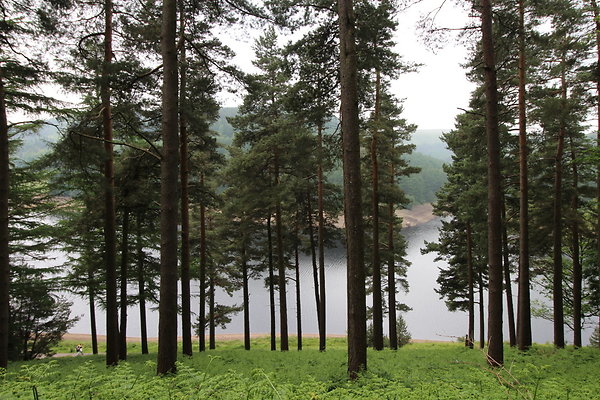 UpperDerwent065