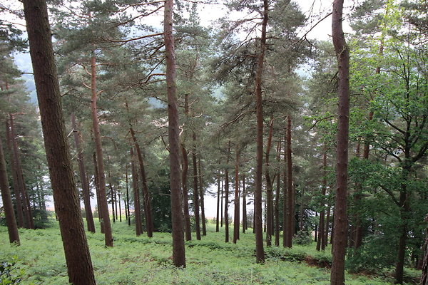 UpperDerwent064