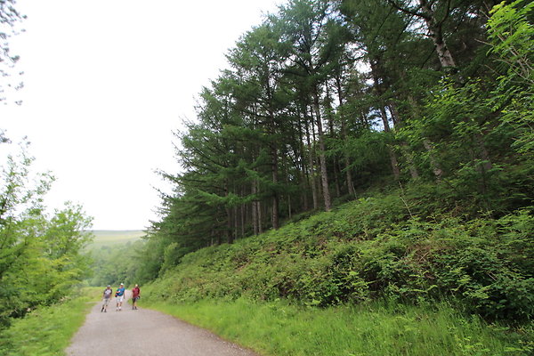 UpperDerwent044