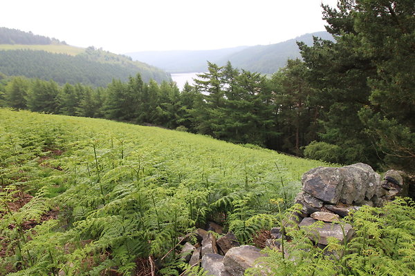 UpperDerwent060
