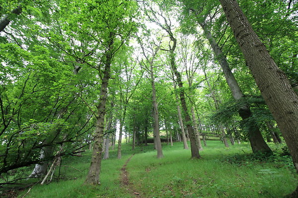 UpperDerwent054