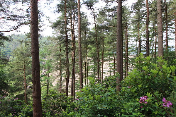 Hathersage - Howden Upper Derwent Reservoir