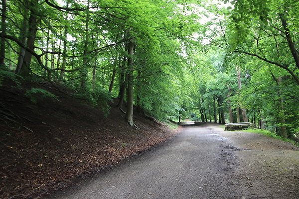 UpperDerwent038