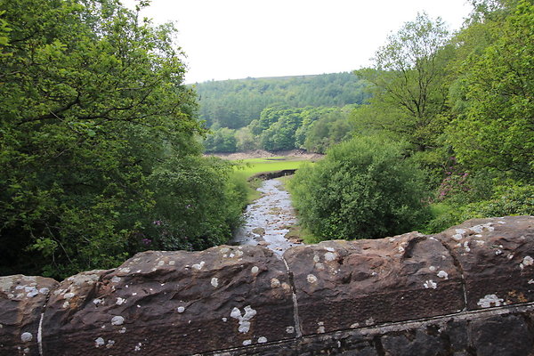 UpperDerwent088
