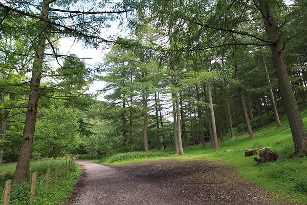 UpperDerwent084
