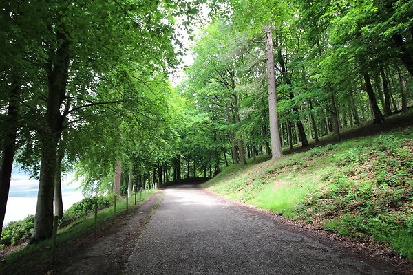 UpperDerwent029