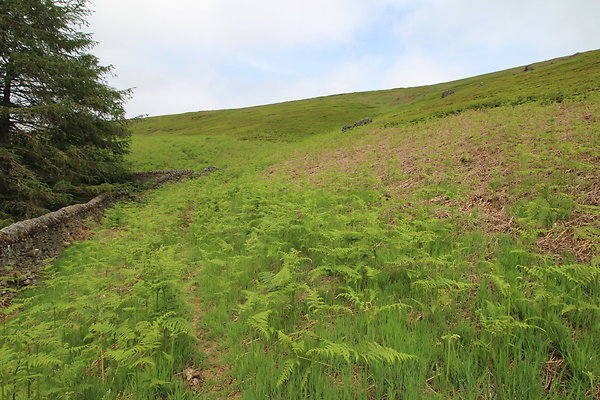 UpperDerwent058