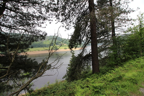 UpperDerwent043