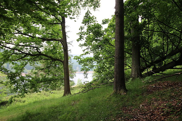 UpperDerwent055