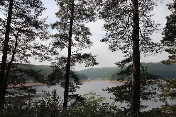 Howden Reservoir035