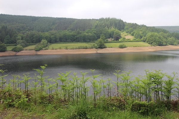 UpperDerwent049