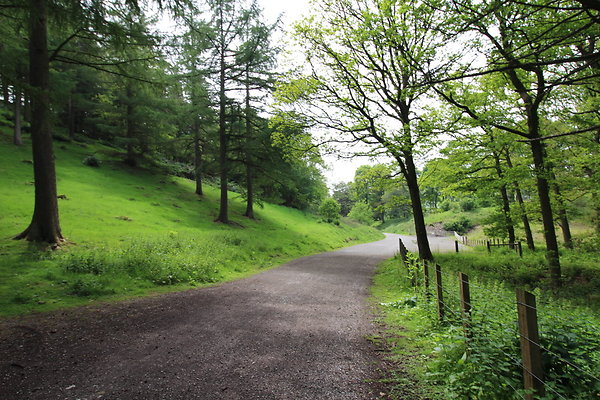 UpperDerwent086