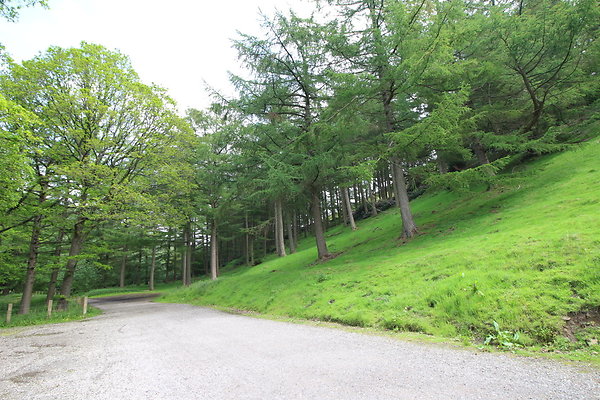 UpperDerwent083