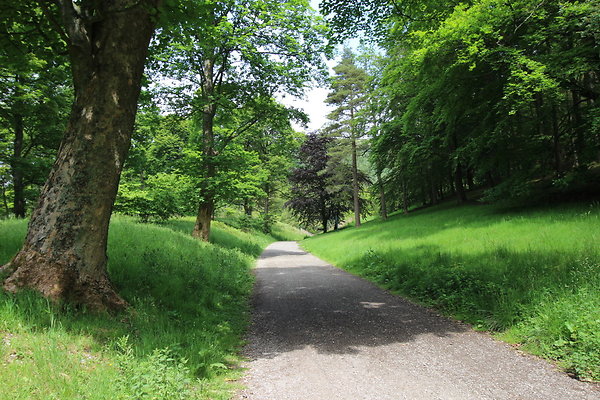 UpperDerwent082
