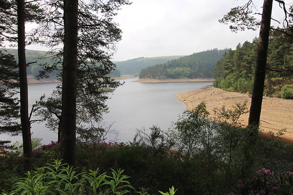 Howden Reservoir037