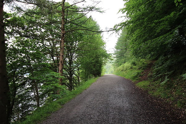 UpperDerwent039